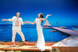 21世紀婚慶禮儀的商業服務供應 打造完美婚禮的專業力量